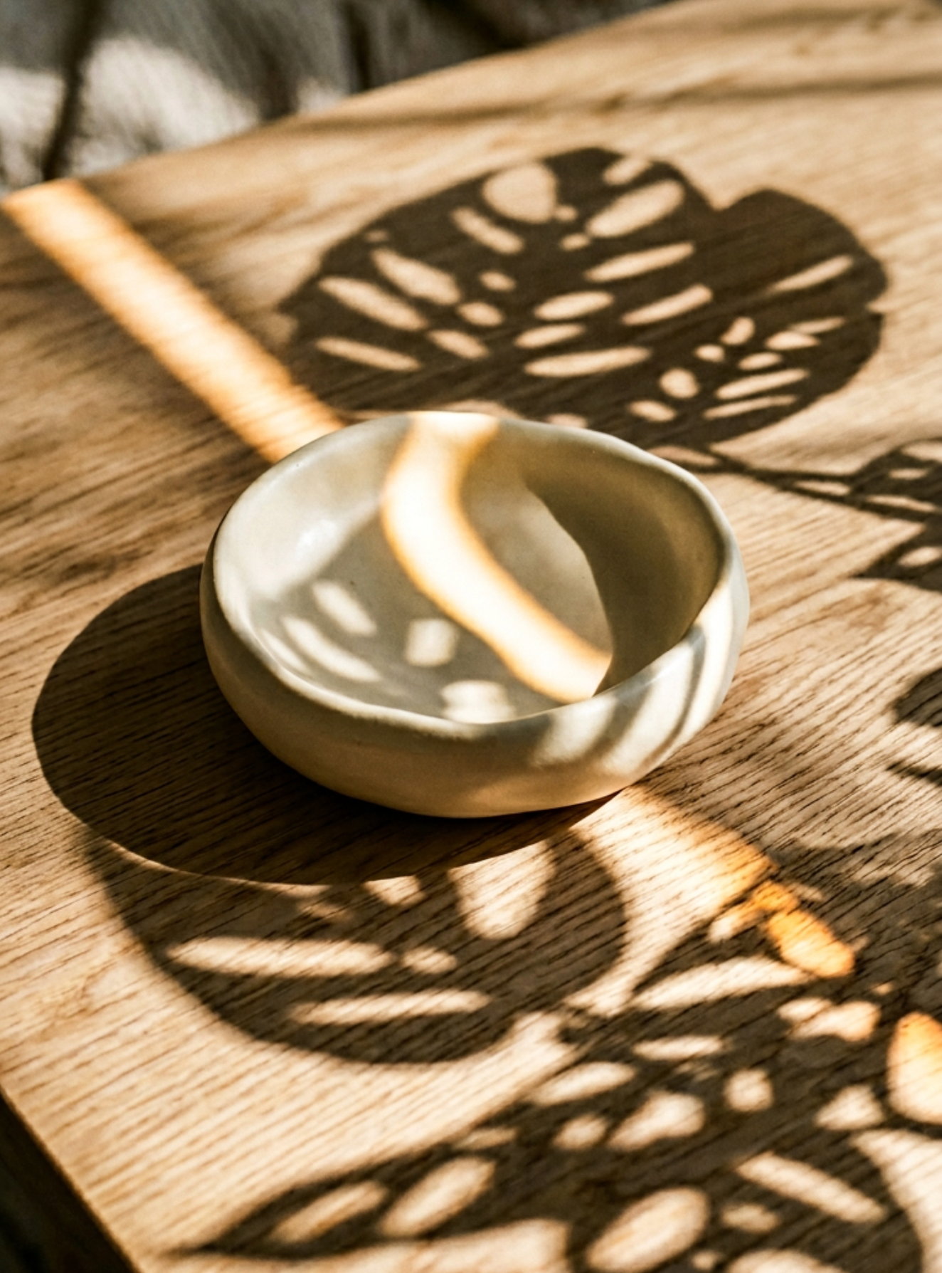 Cassy et Lynn — Alpine Crystal Sun Tray